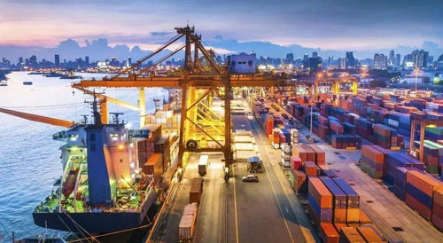 運價高燒不退，外貿企業成本壓力下的生存博弈 國內貿易代理的困境與轉型