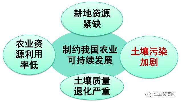 污染土壤修復(fù)治理對策與思考——以實(shí)踐服務(wù)推動(dòng)生態(tài)安全