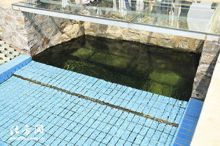 天津?qū)氎鎱^(qū)第一污水處理廠 MBR膜工藝驅(qū)動(dòng)提標(biāo)擴(kuò)建，構(gòu)筑土壤污染治理新防線